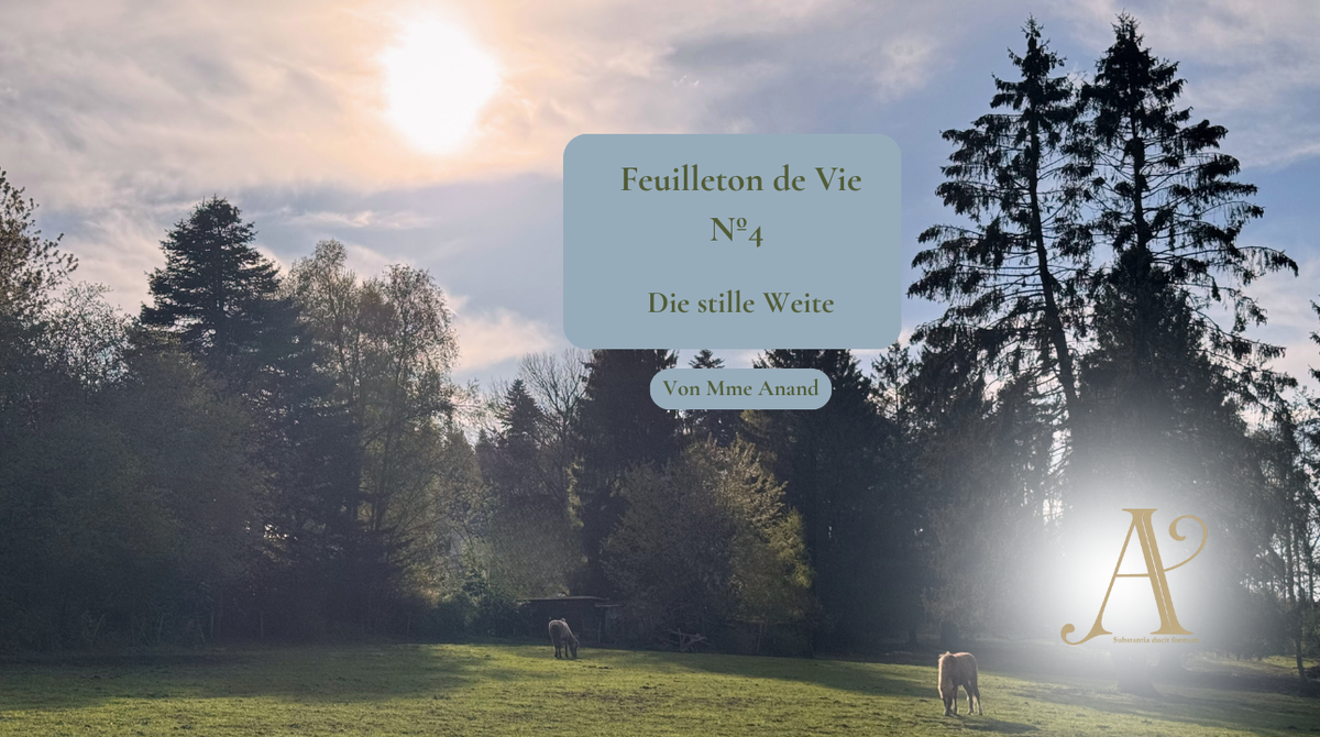 Feuilleton de vie Nº 4:  Die stille Weite