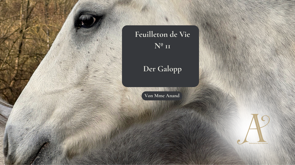 Feuilleton de vie Nº 11: Der Galopp