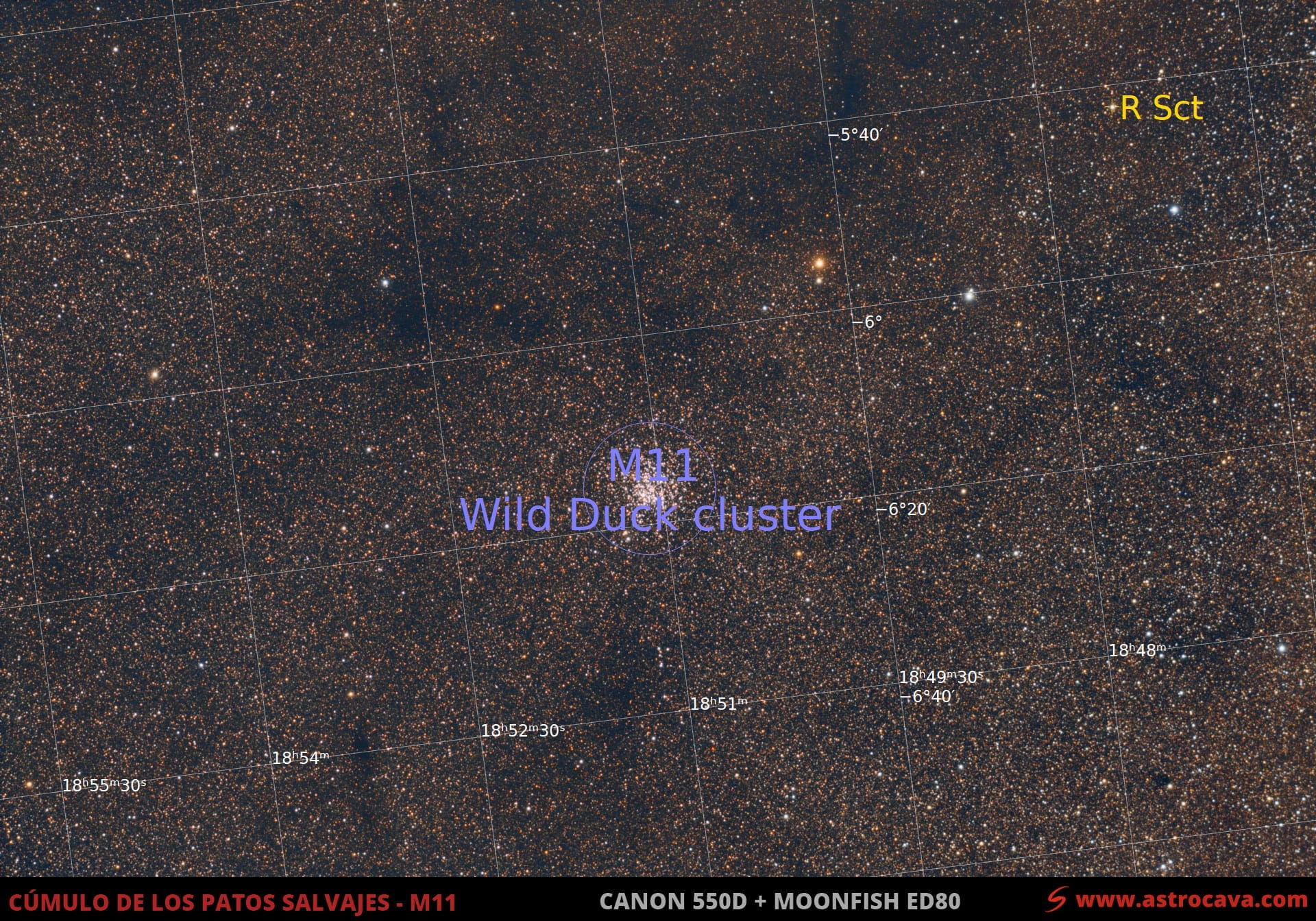 Cúmulo abierto de los «Patos Salvajes» (M11) en Escudo. Versión anotada.