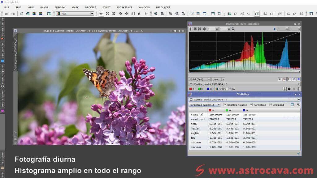 Imagen Vanessa de los Cardos y su histograma