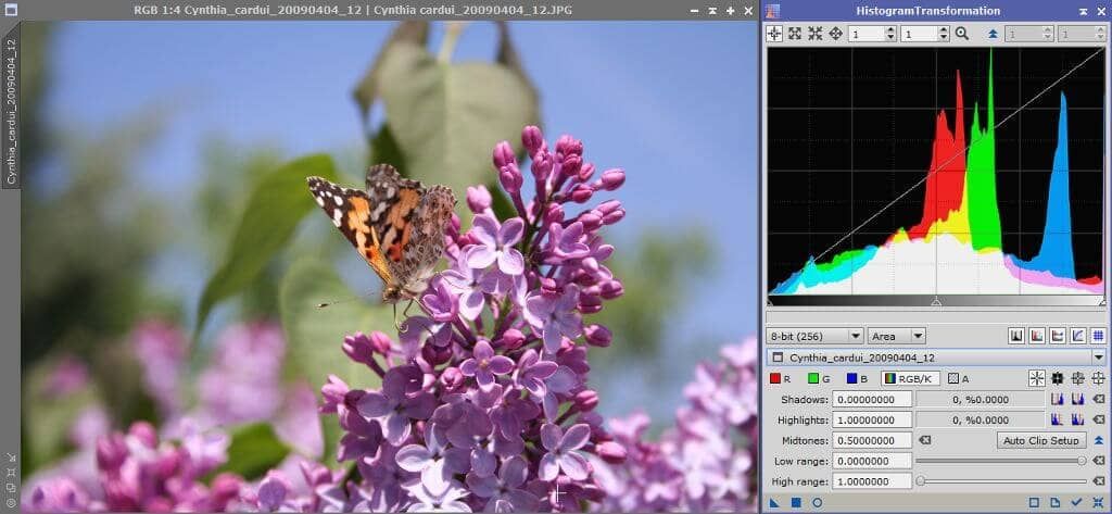 Fotografía de una «Vanesa de los Cardos» y su histograma.