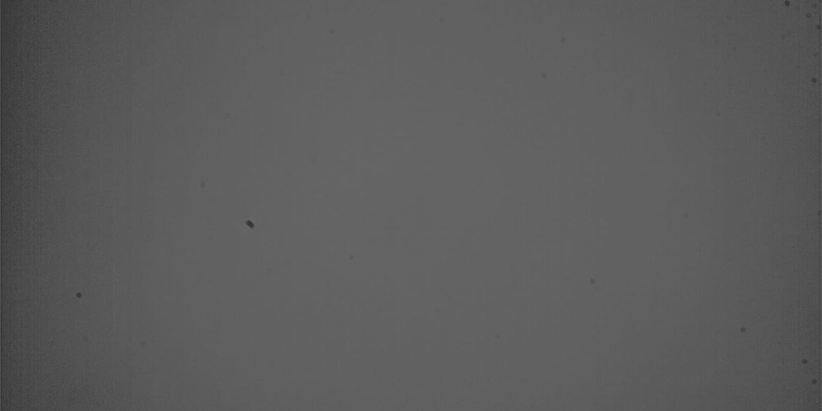 Master Flat. Con manchas y todo. 