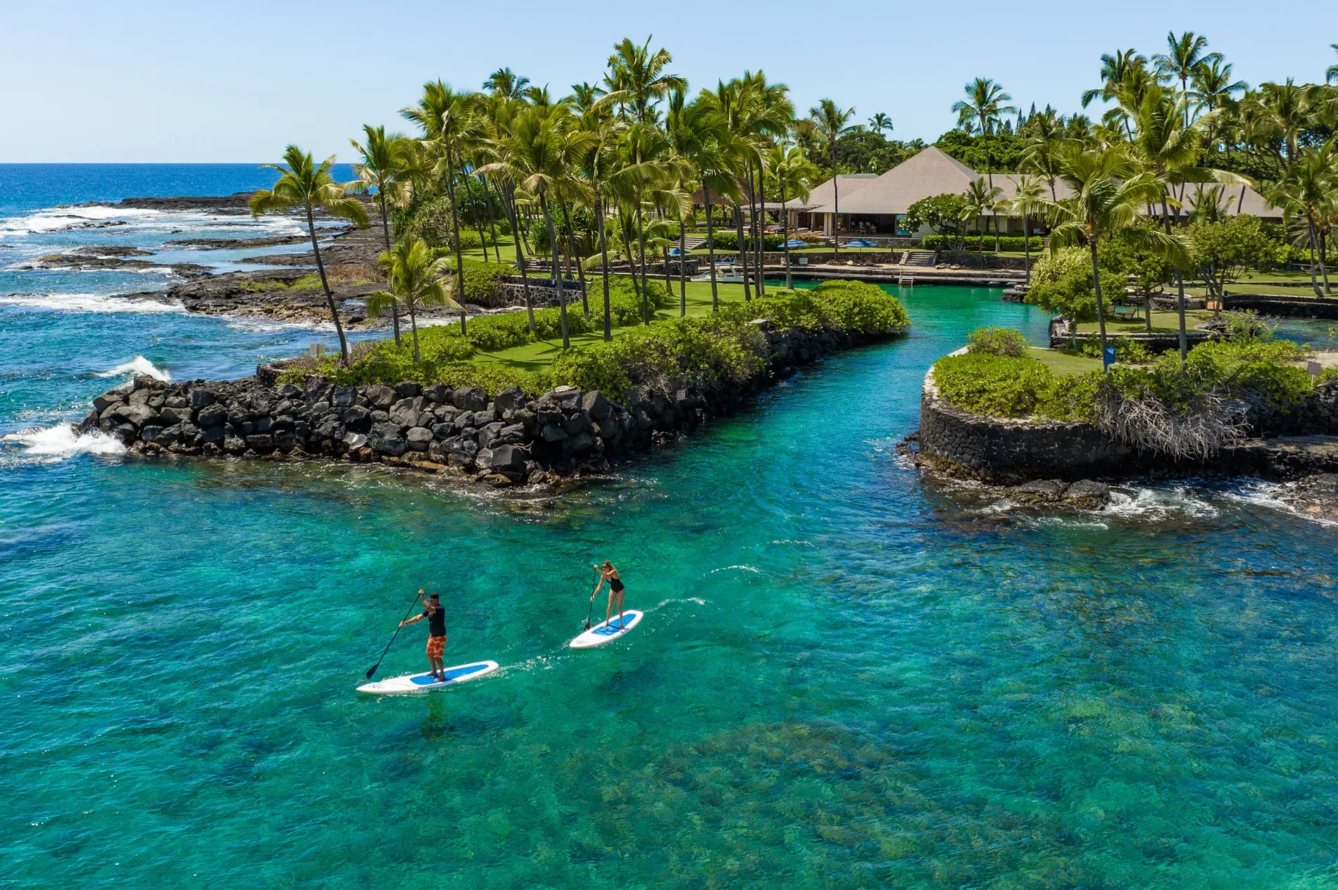 Paddleboarders on that neon water. palms framing it a postcard.