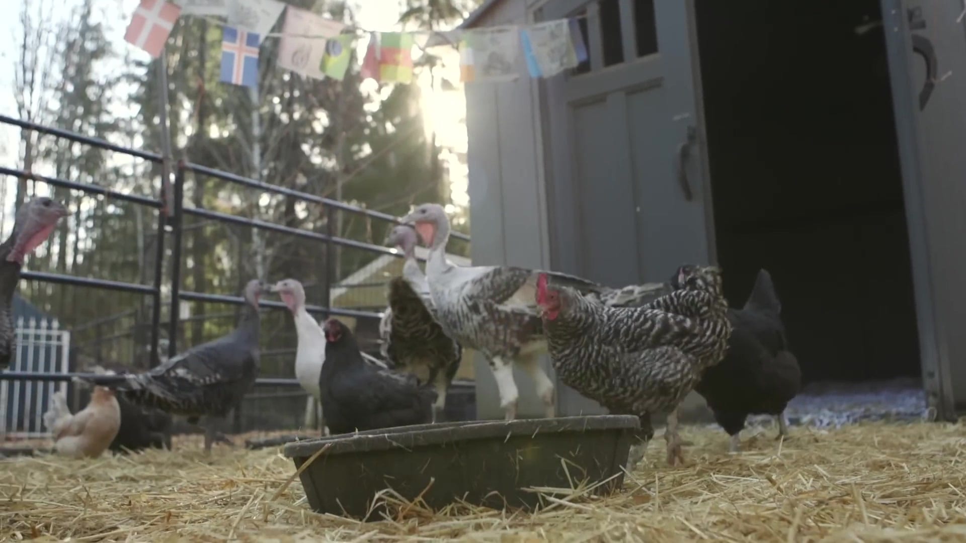 Screenshot at 00:10:02