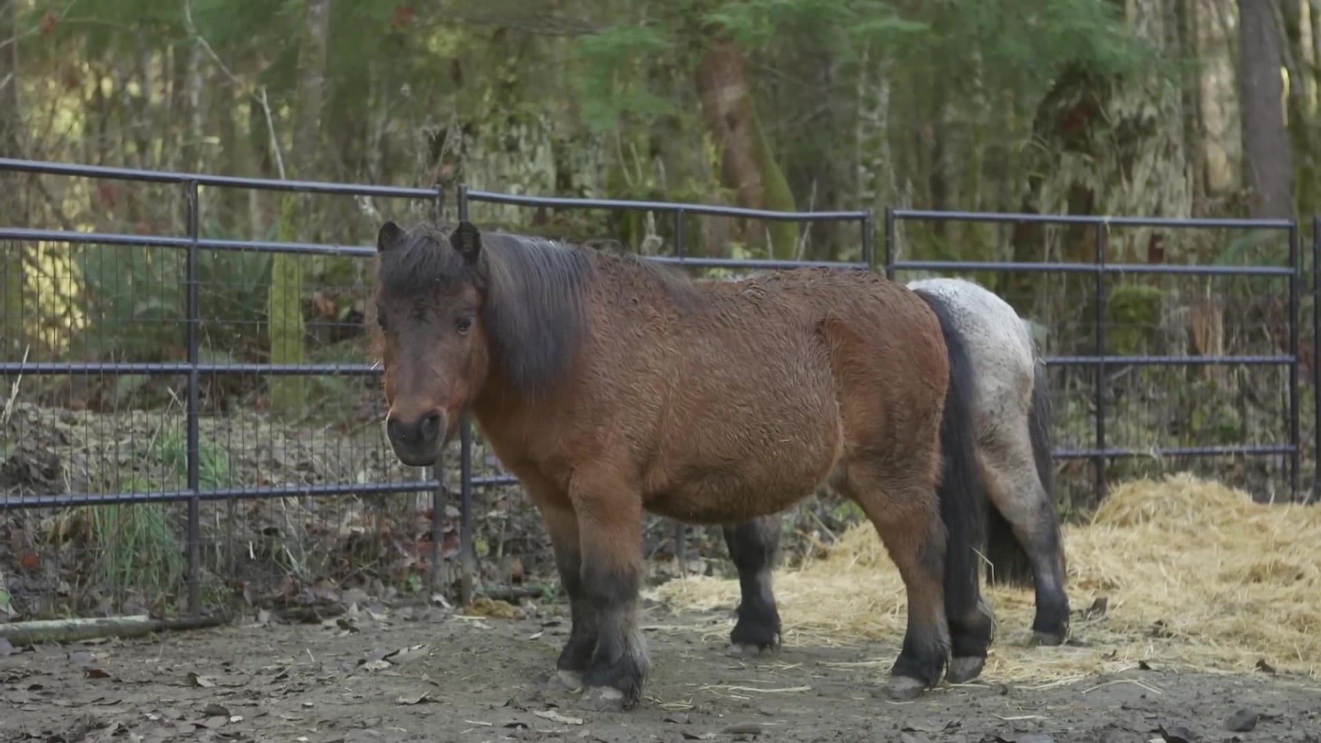 Screenshot at 00:09:43