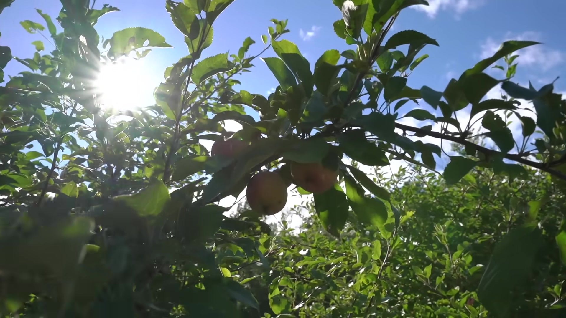 Screenshot at 00:09:32