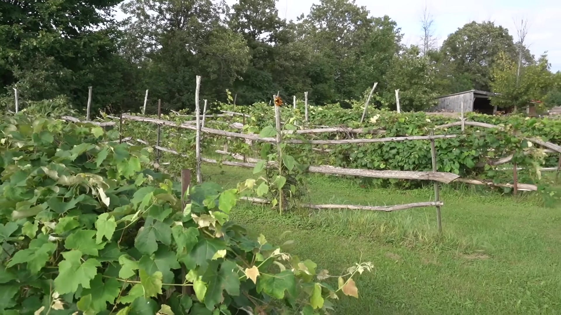 Screenshot at 00:06:49