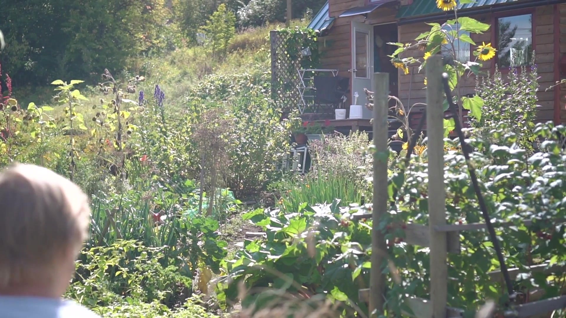 Screenshot at 00:12:24