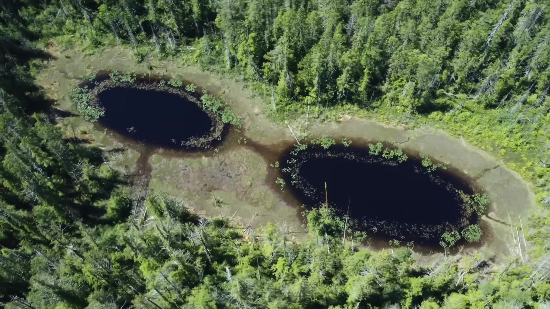 Screenshot at 00:07:47