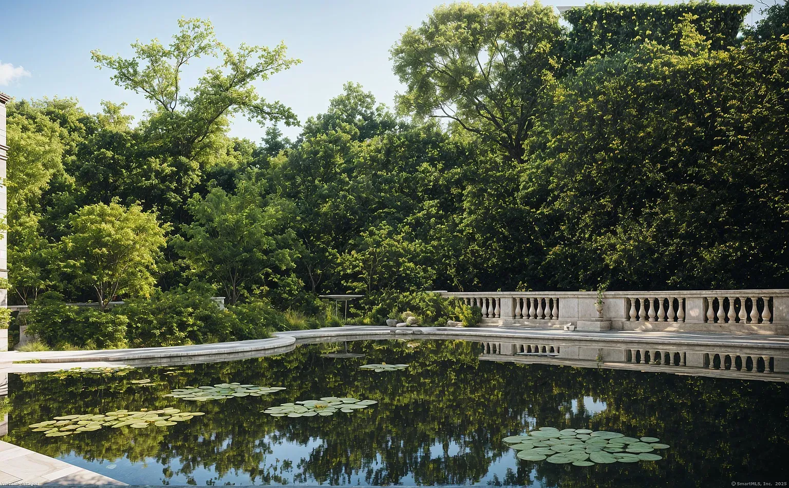 The pond is still, lilies just hovering. Koi in there or nah?