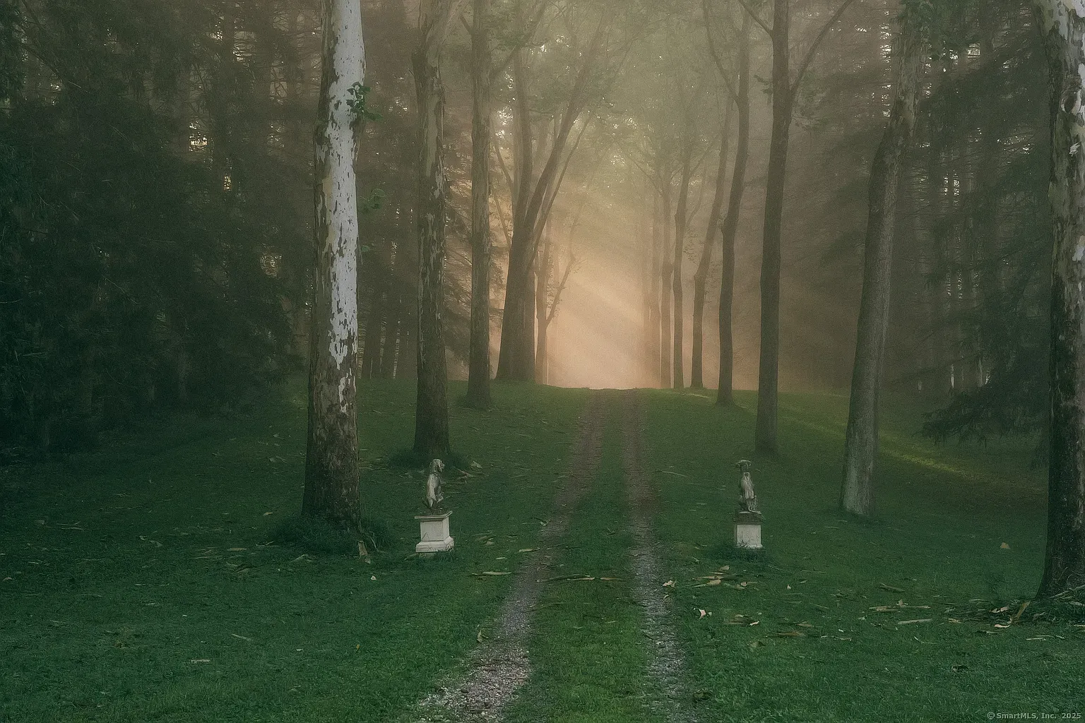 Back outside - misty path, light sifting through. Instant screensaver mood.