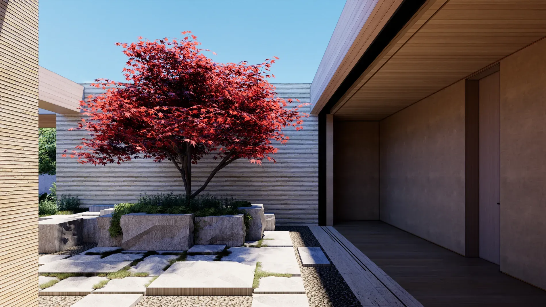 Okay, this maple—bright red against all the beige—steals the whole courtyard.