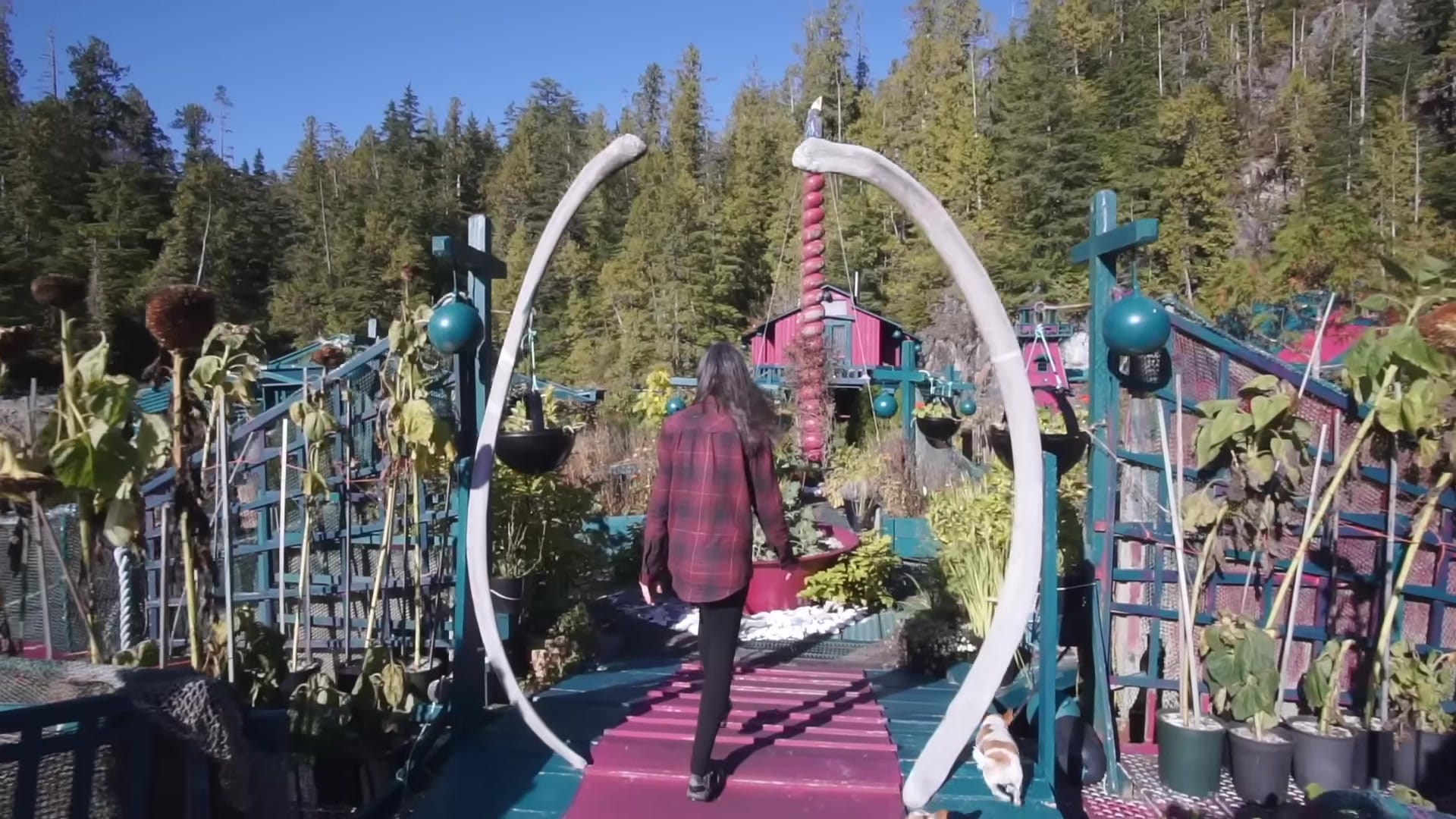 Screenshot at 00:00:40