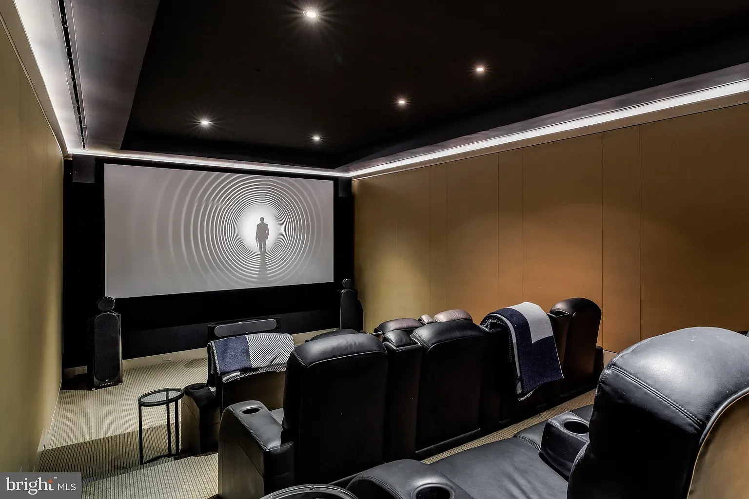 Home theater in chocolate tones. Looks cozy. hope the sound slaps.