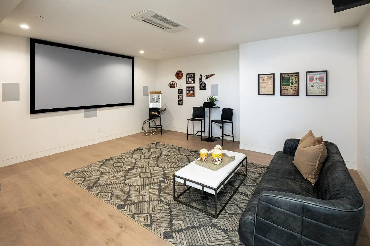 Projection screen taking the whole wall. Bring the popcorn.