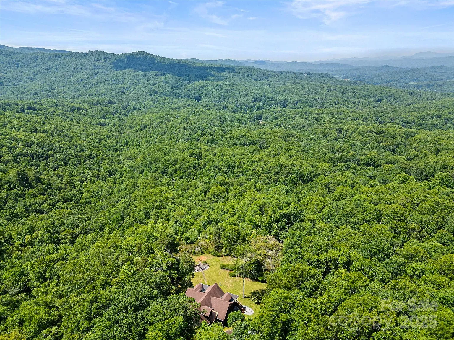 Big treetop view and that funky roofline peeking through. Privacy for days.