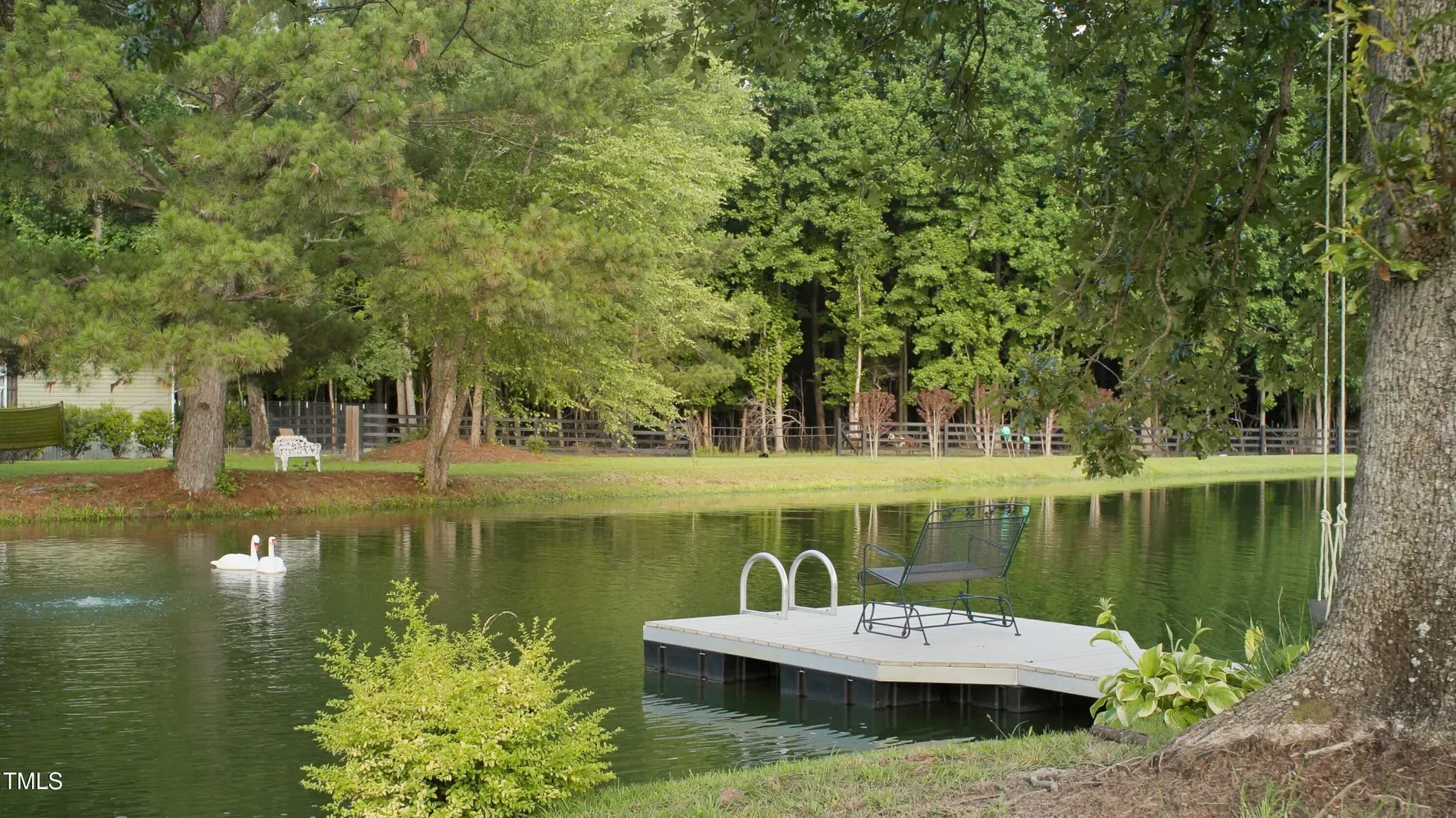 Pond with a little dock. Morning coffee dream. or mosquito buffet?