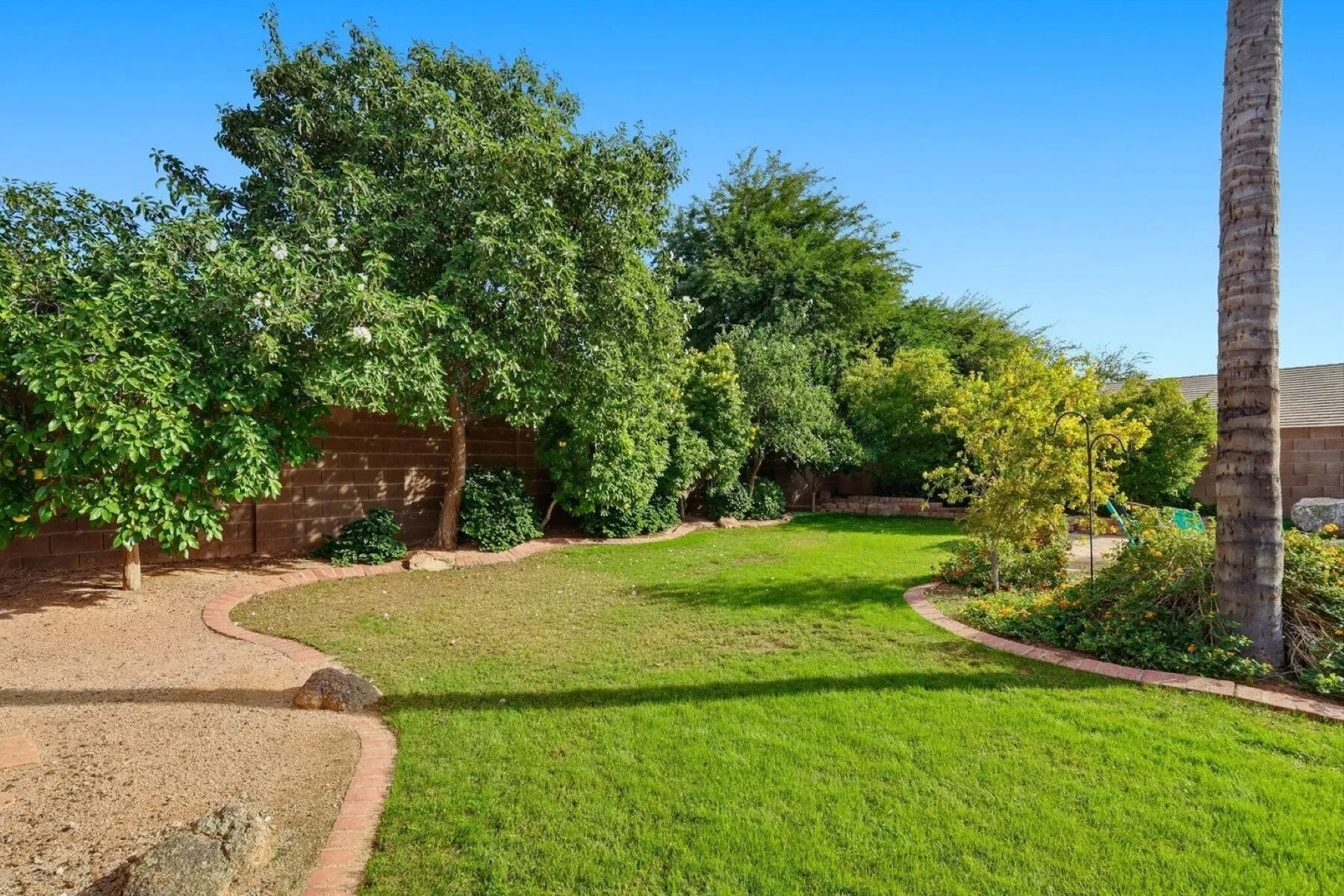 The lawn rolls out with mixed trees. Chill backyard scene.