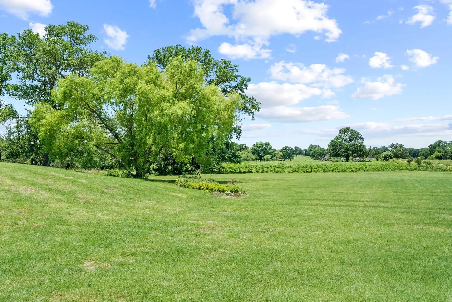 Huge lawn, giant willow, and those rolling hills. Backyard feels endless.