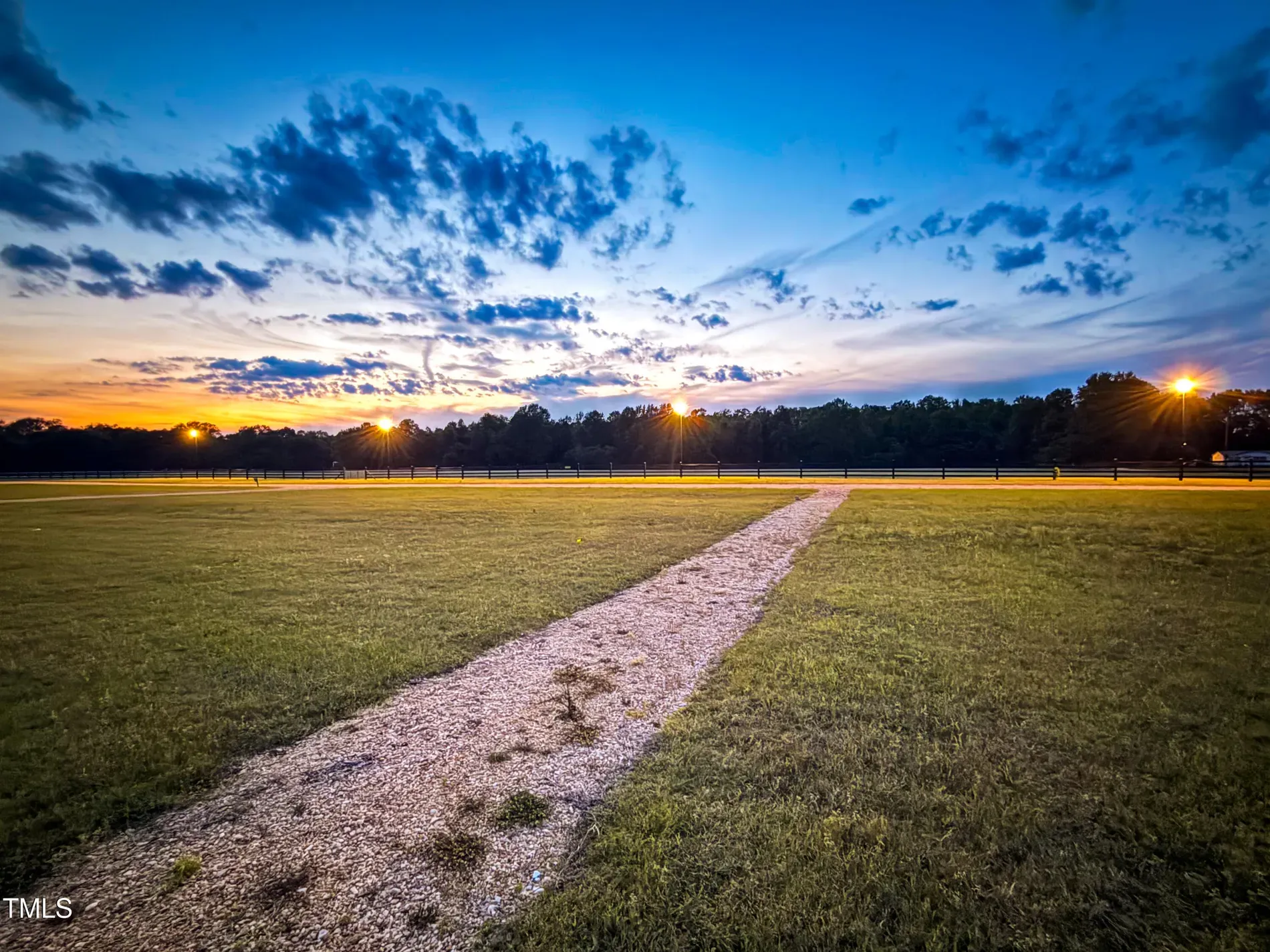Huge rolling lawn. Kids and dogs would thrive. Mowing bill might not.