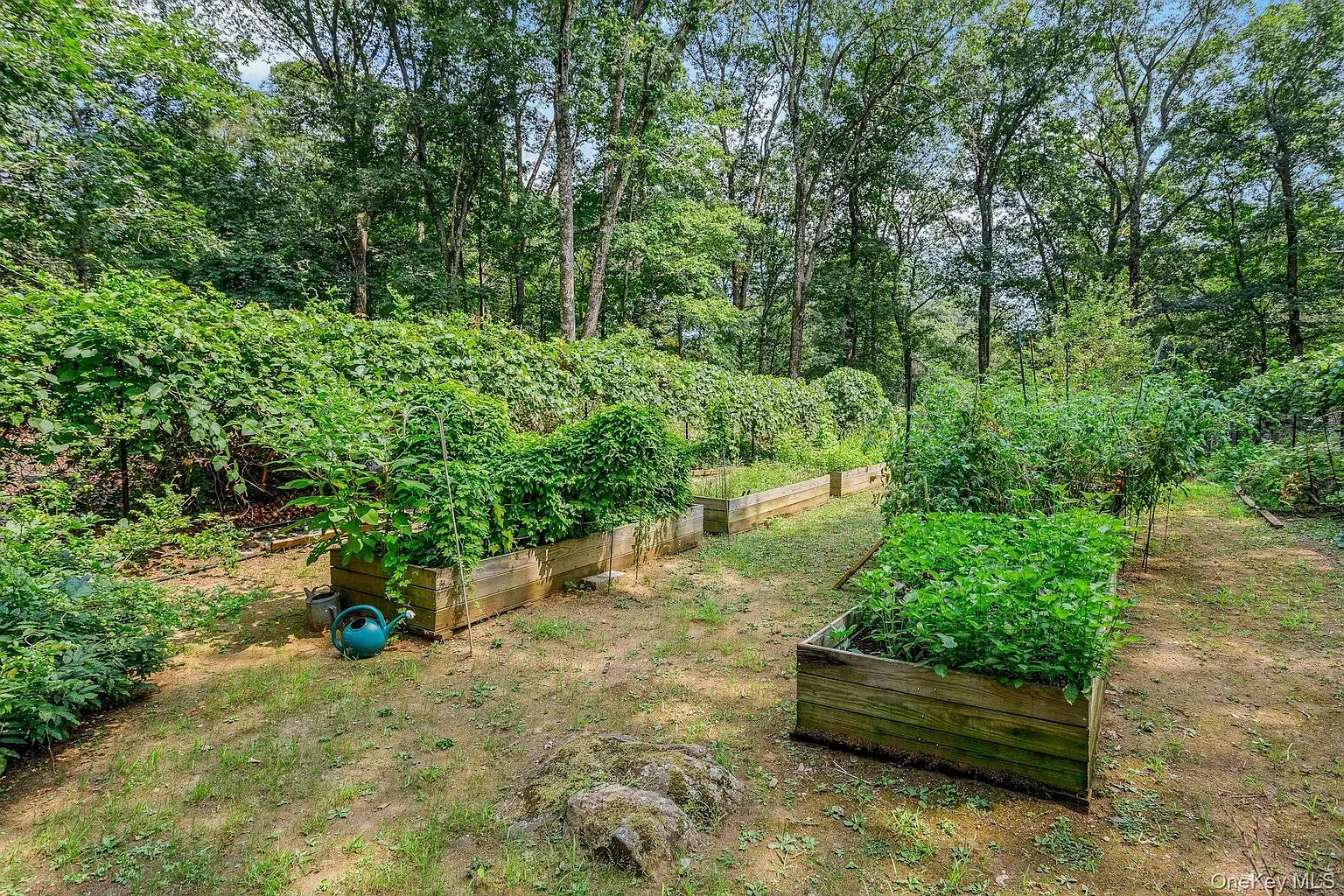 Raised beds and gravel paths. Zero fuss, just veggies and sunshine.