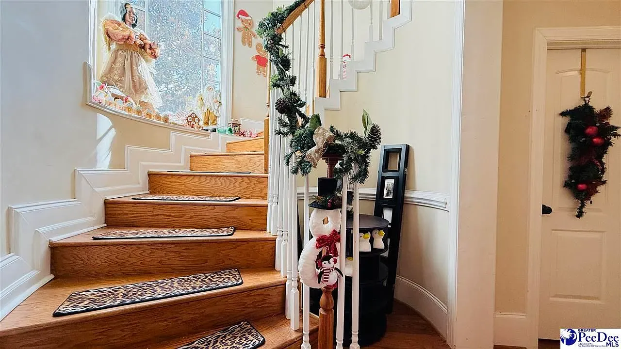 Leopard runner on the stairs? Bold and somehow charming.