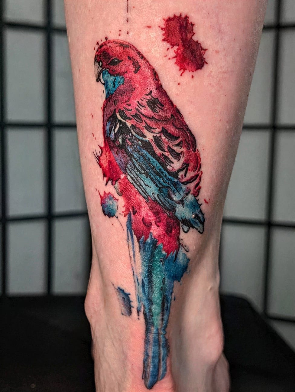 Watercolor Crimson Splash