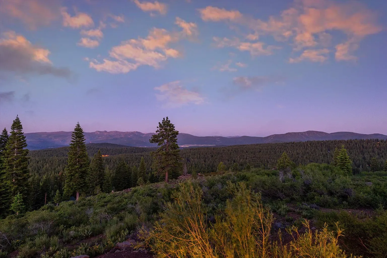 Okay, that twilight view with the evergreens is kind of ridiculous.