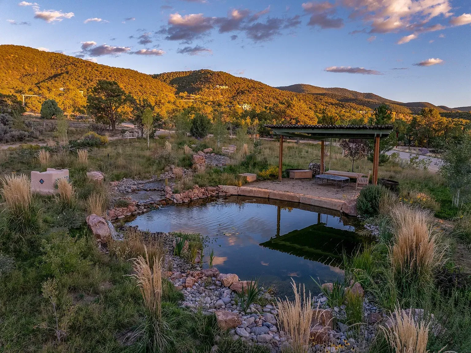 Little pond moment. Reflections doing all the heavy lifting.