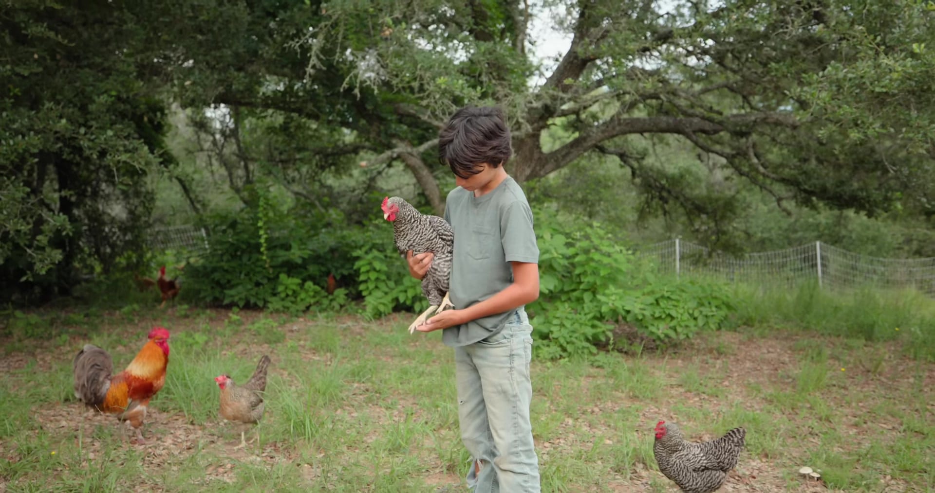 Screenshot at 00:11:26