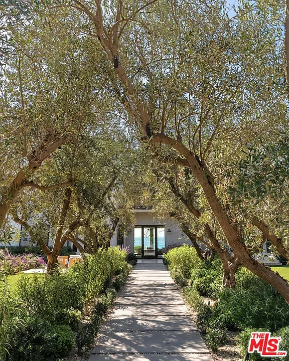 Olive tree tunnel walkway. Feels a hidden garden path to somewhere good.