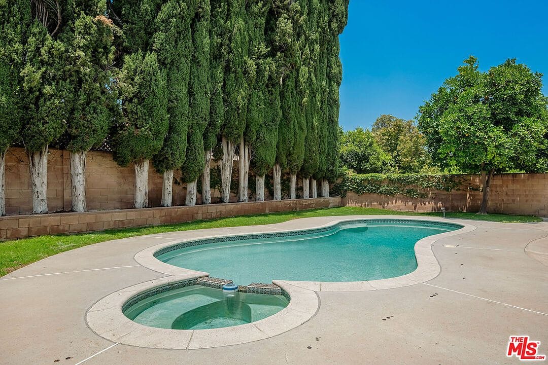 Backyard pool view showing the integrated spa and cypress trees