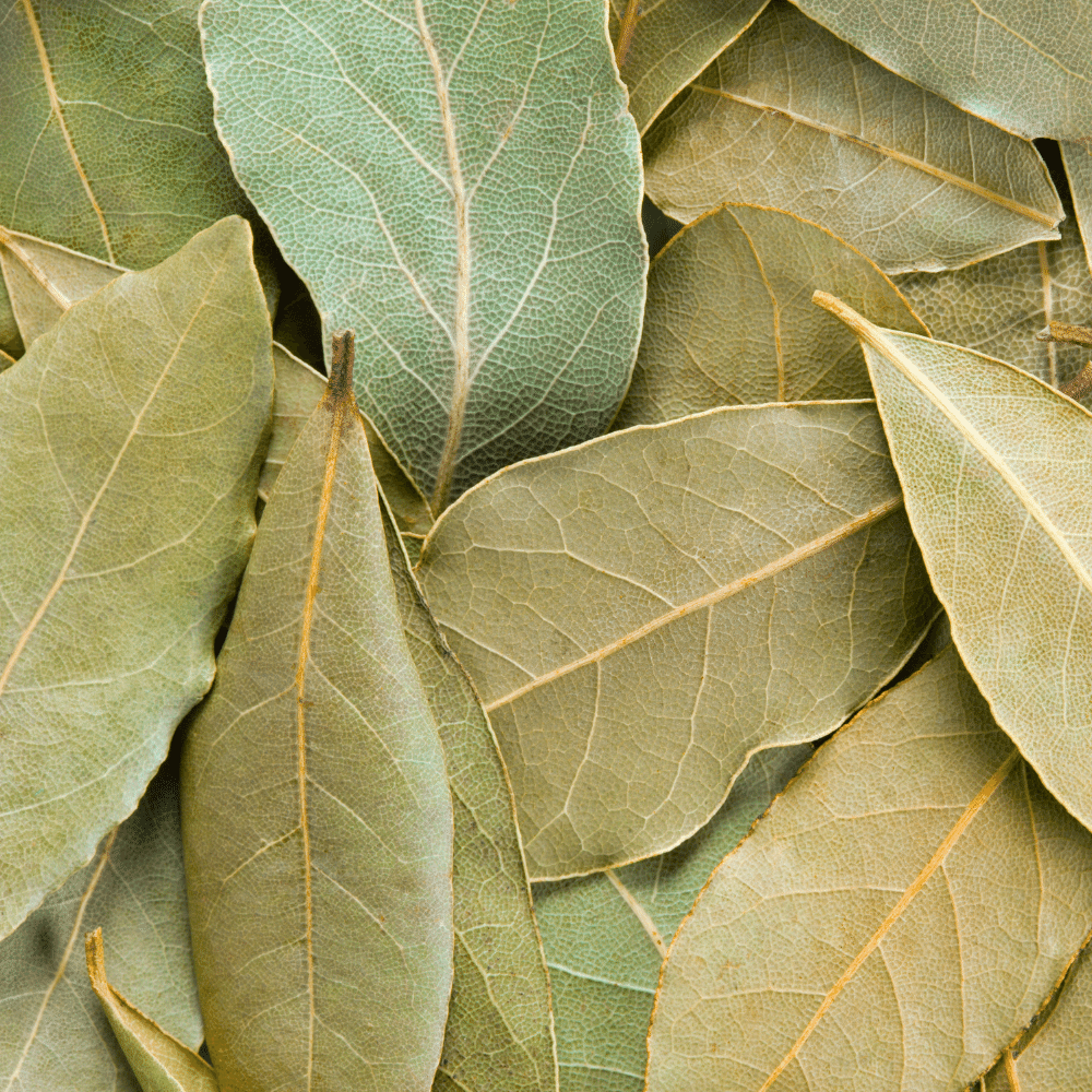 Bay Leaves