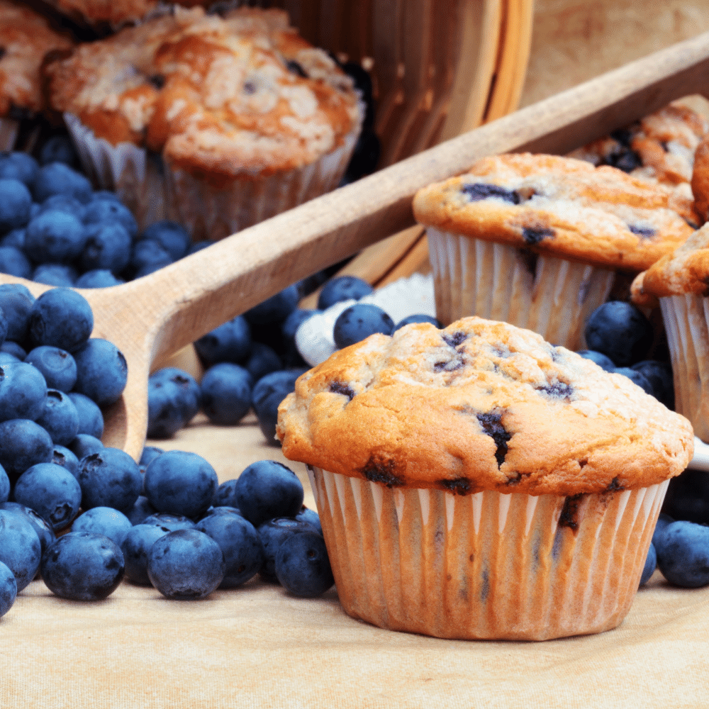 Blueberry Muffins