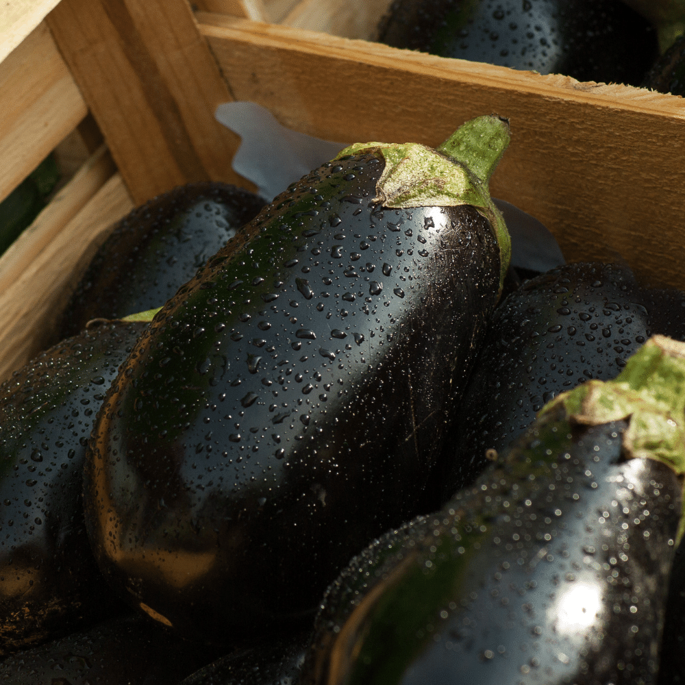Eggplants