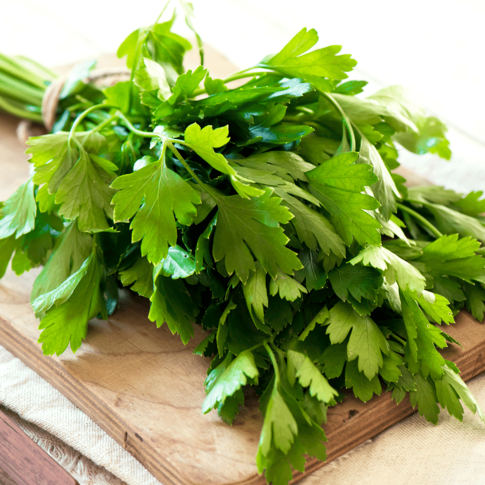 Parsley