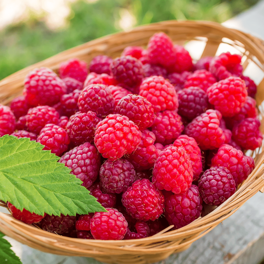 Raspberries