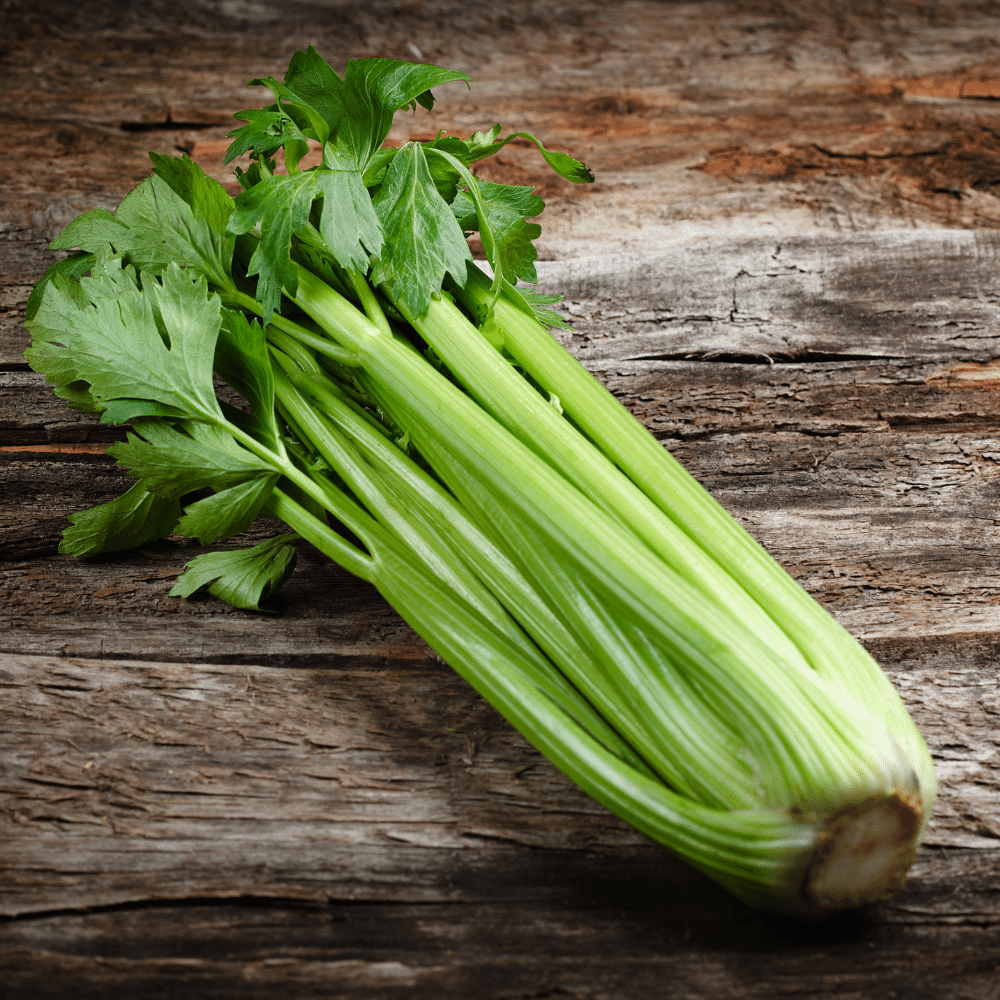 Celery