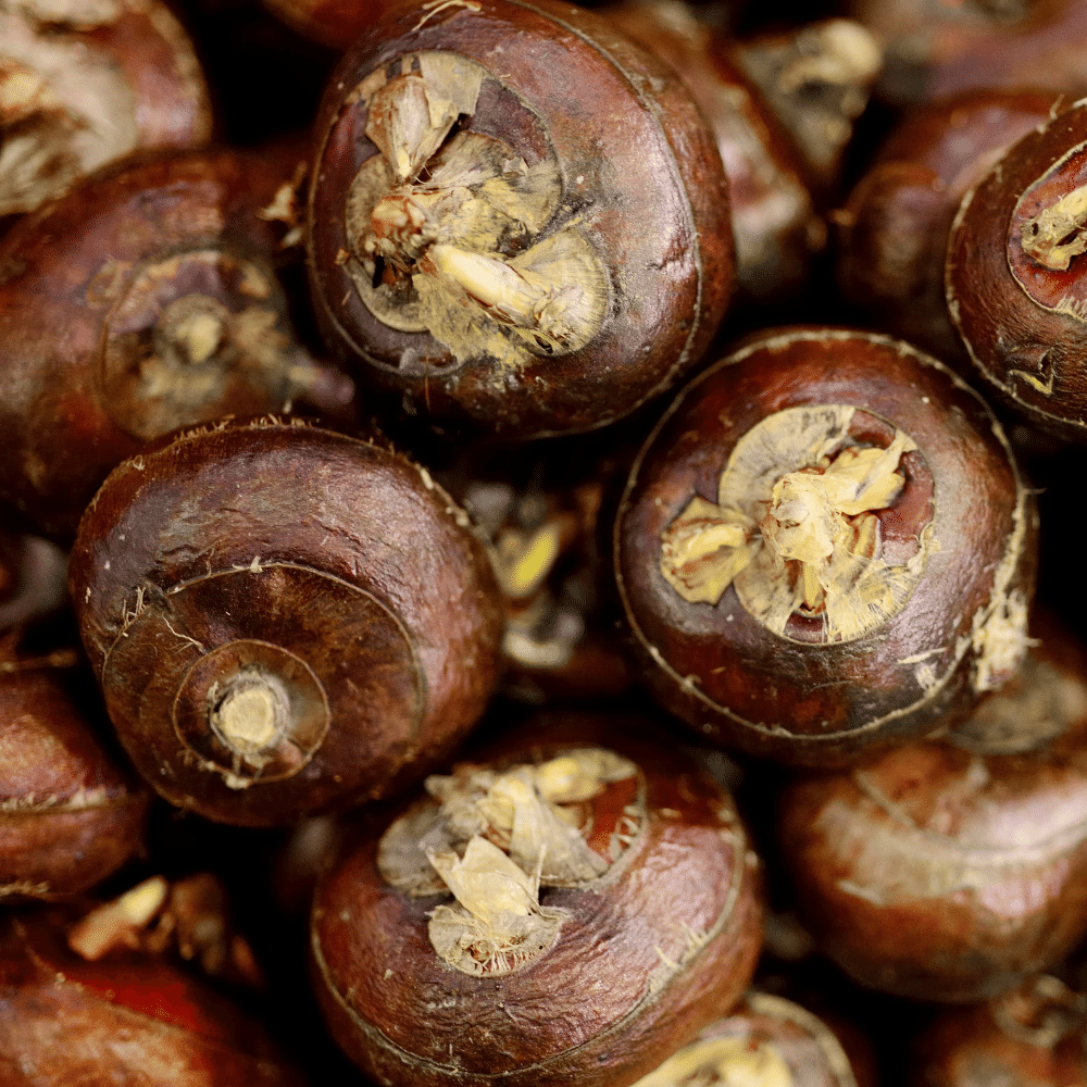 Chestnuts