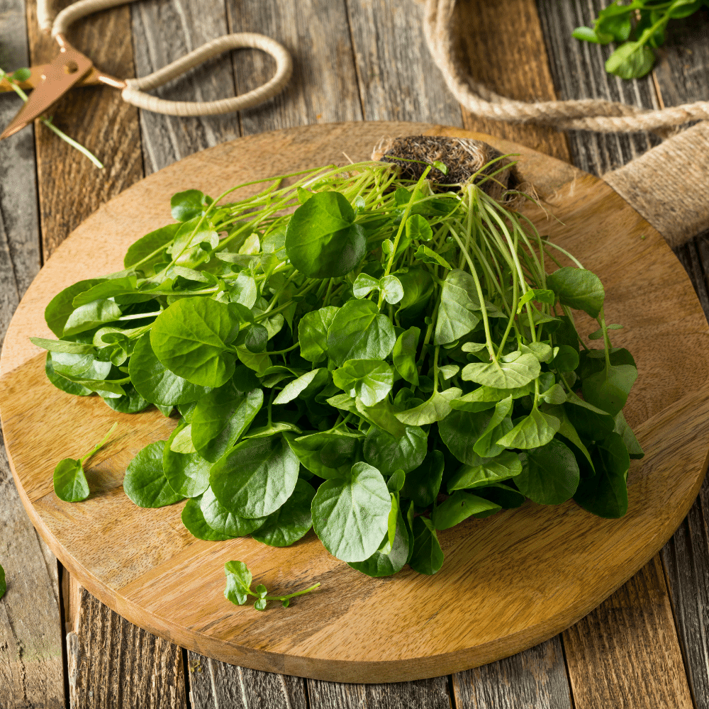 watercress