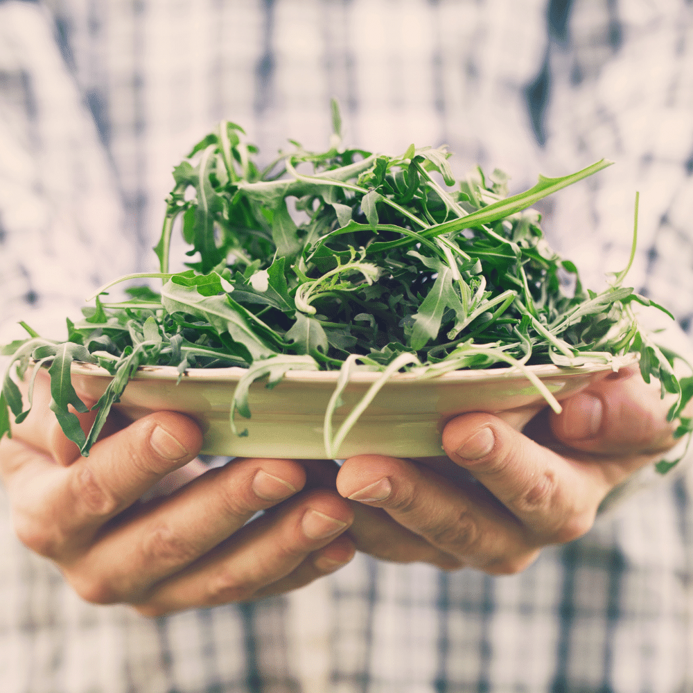 what goes well with Rocket Salad