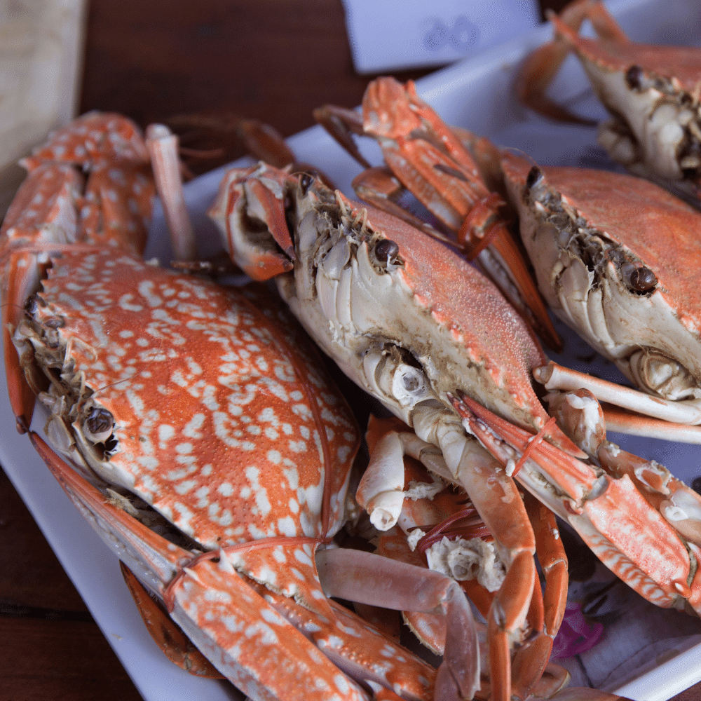 Steamed Dungeness Crabs