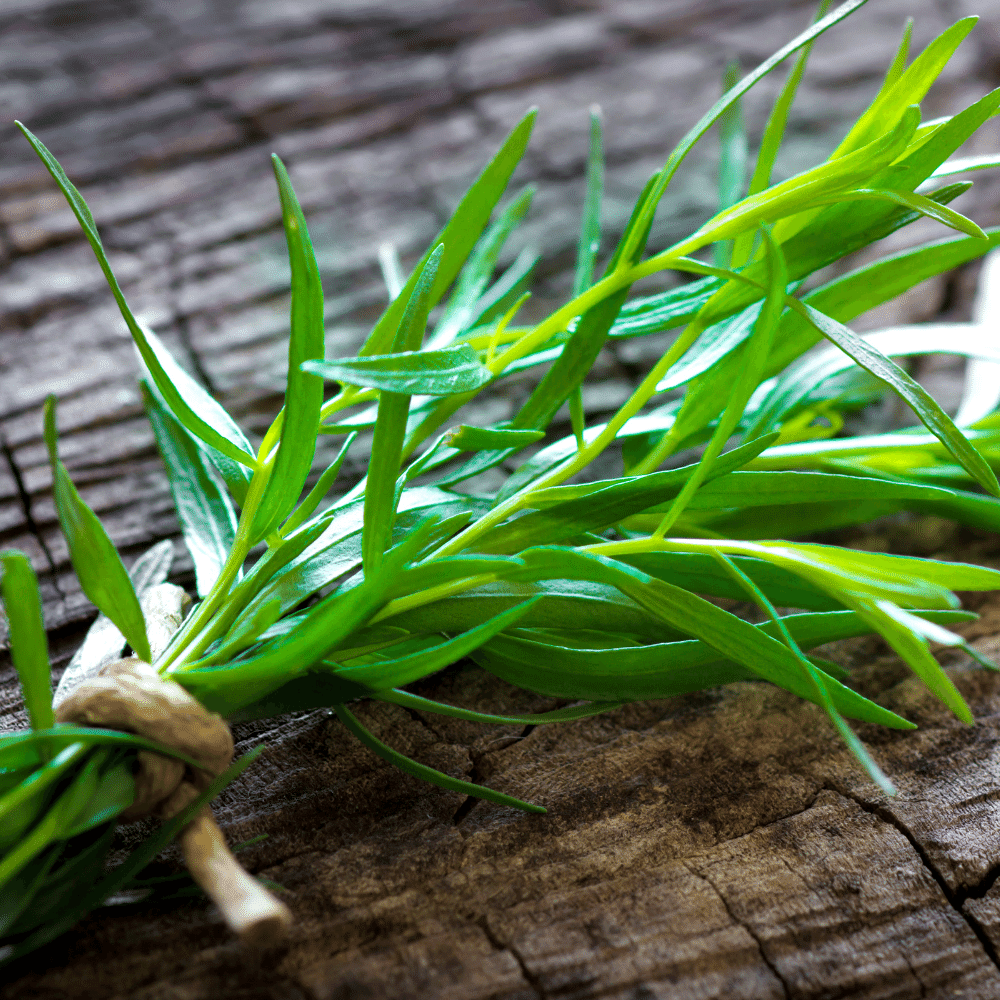 Tarragon