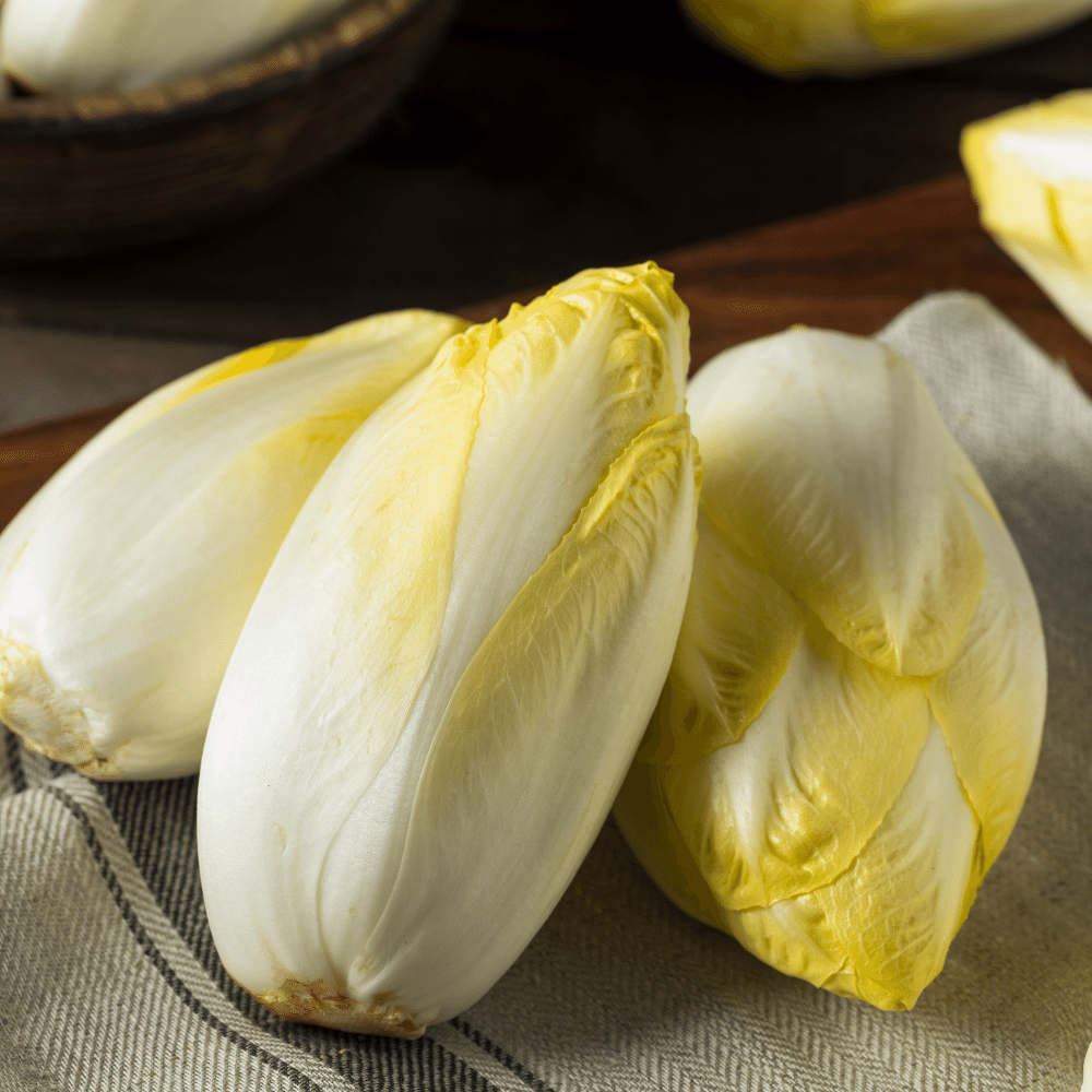 Endive