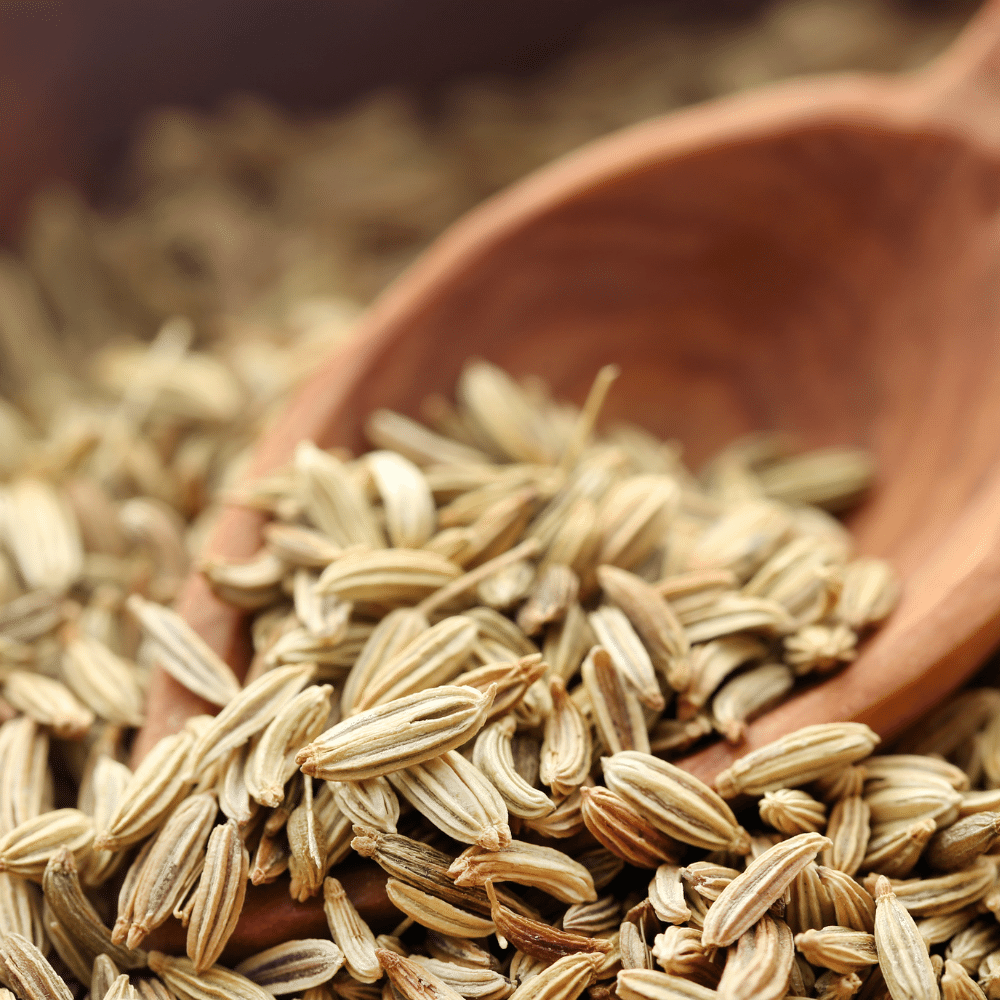 Fennel Seeds