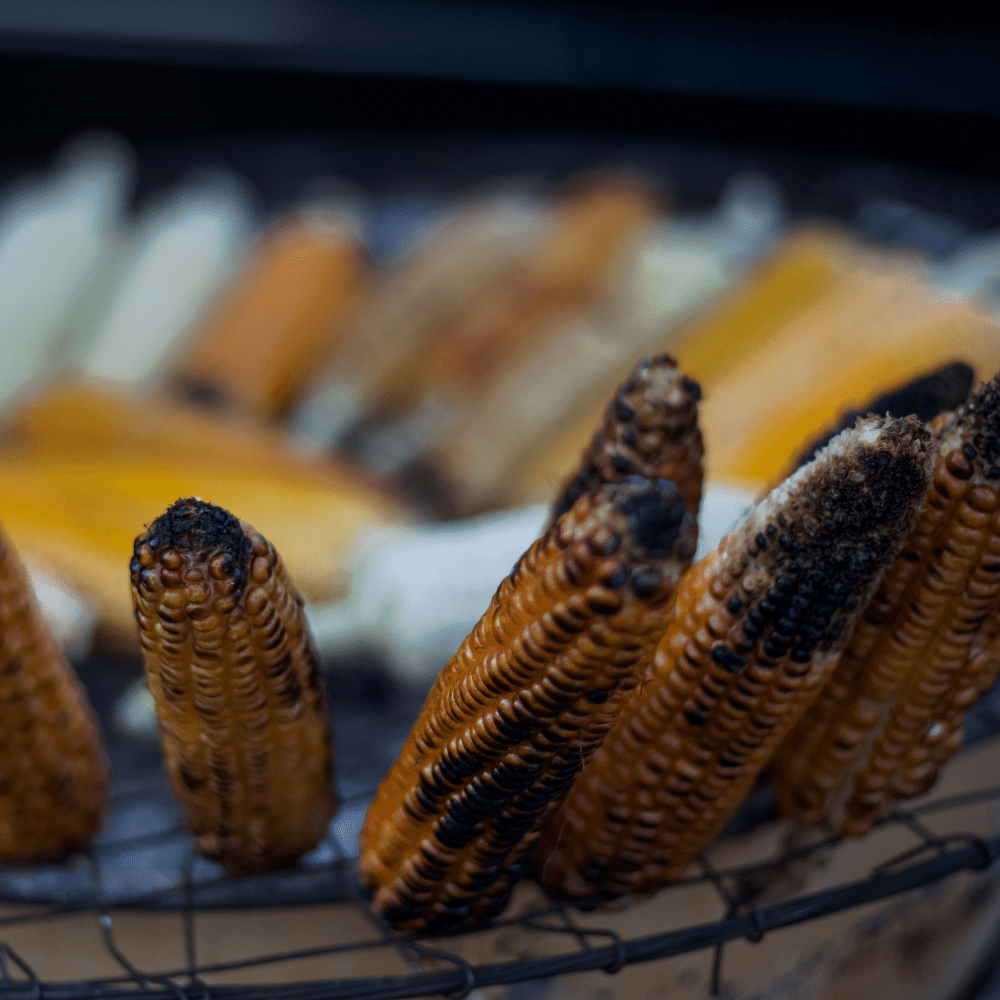 Grilled Corn on The Cob