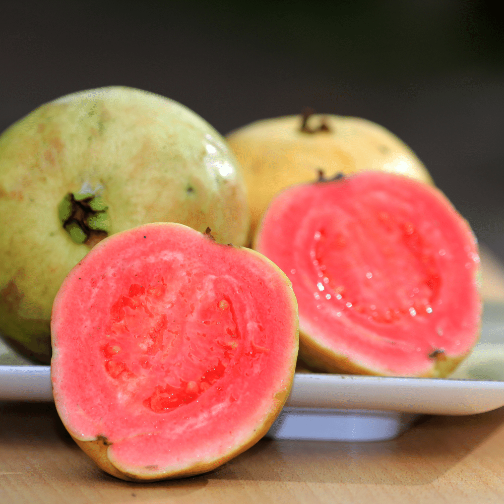 Guava