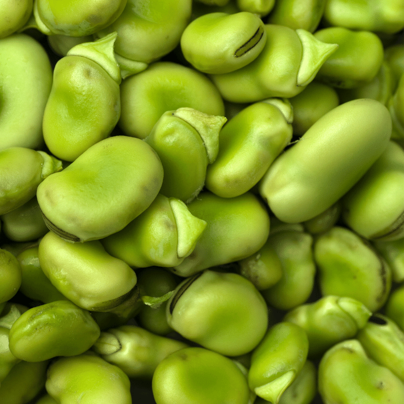 Lima Beans