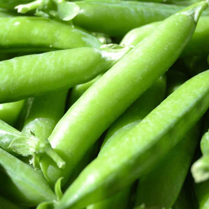Snow Peas