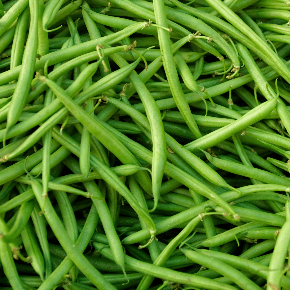Green Beans